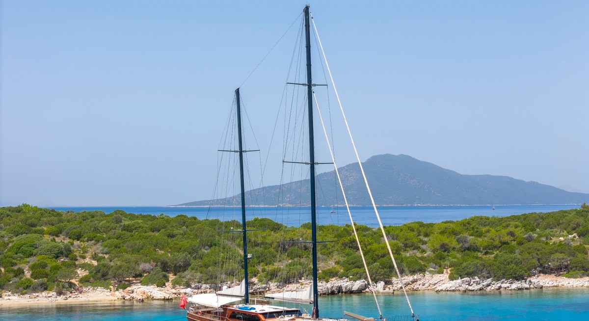 PERFORMANCE FEE yacht charter 1